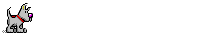  A dog run